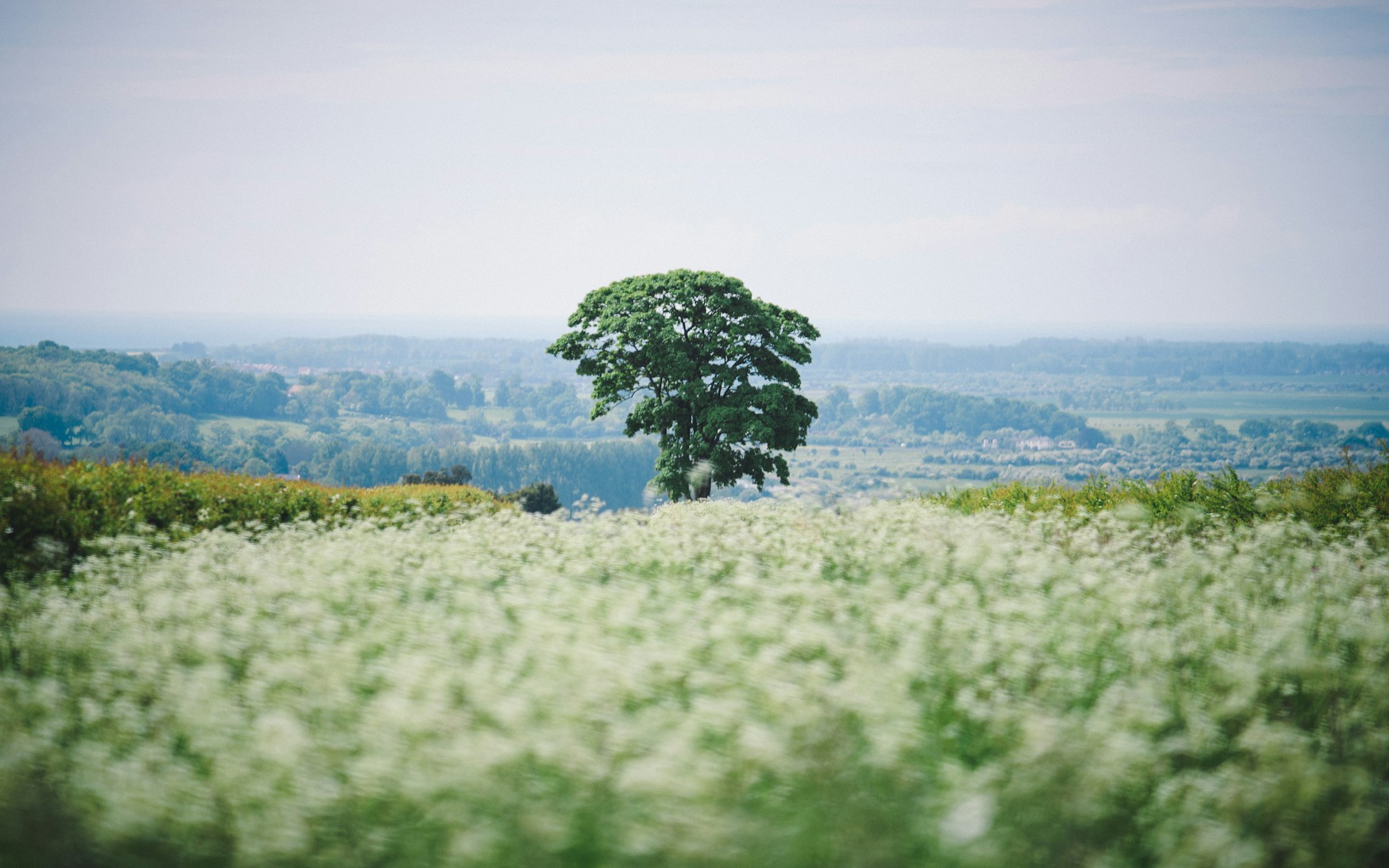 10 Tips to Help You Live in the Countryside