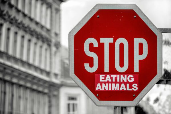 How do I explain veganism to my friends?