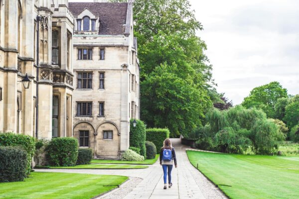How important are A-levels for university admission?