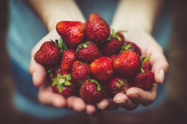 What are common symptoms of food allergies?