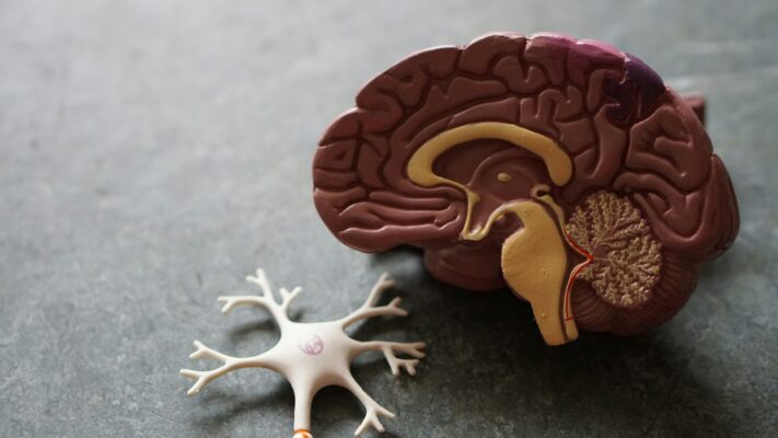 What causes addiction?