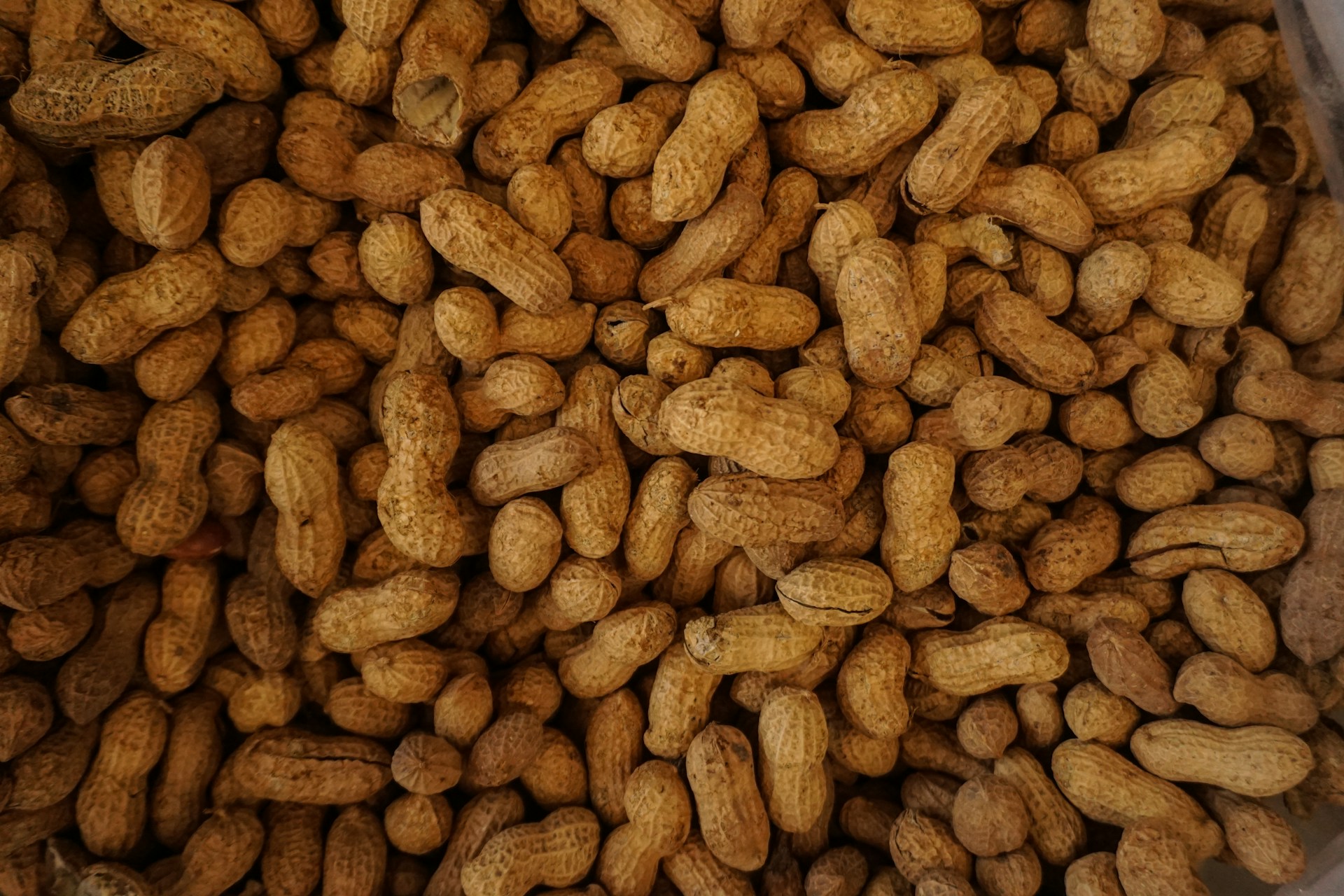 What's the difference between an allergy and an intolerance?
