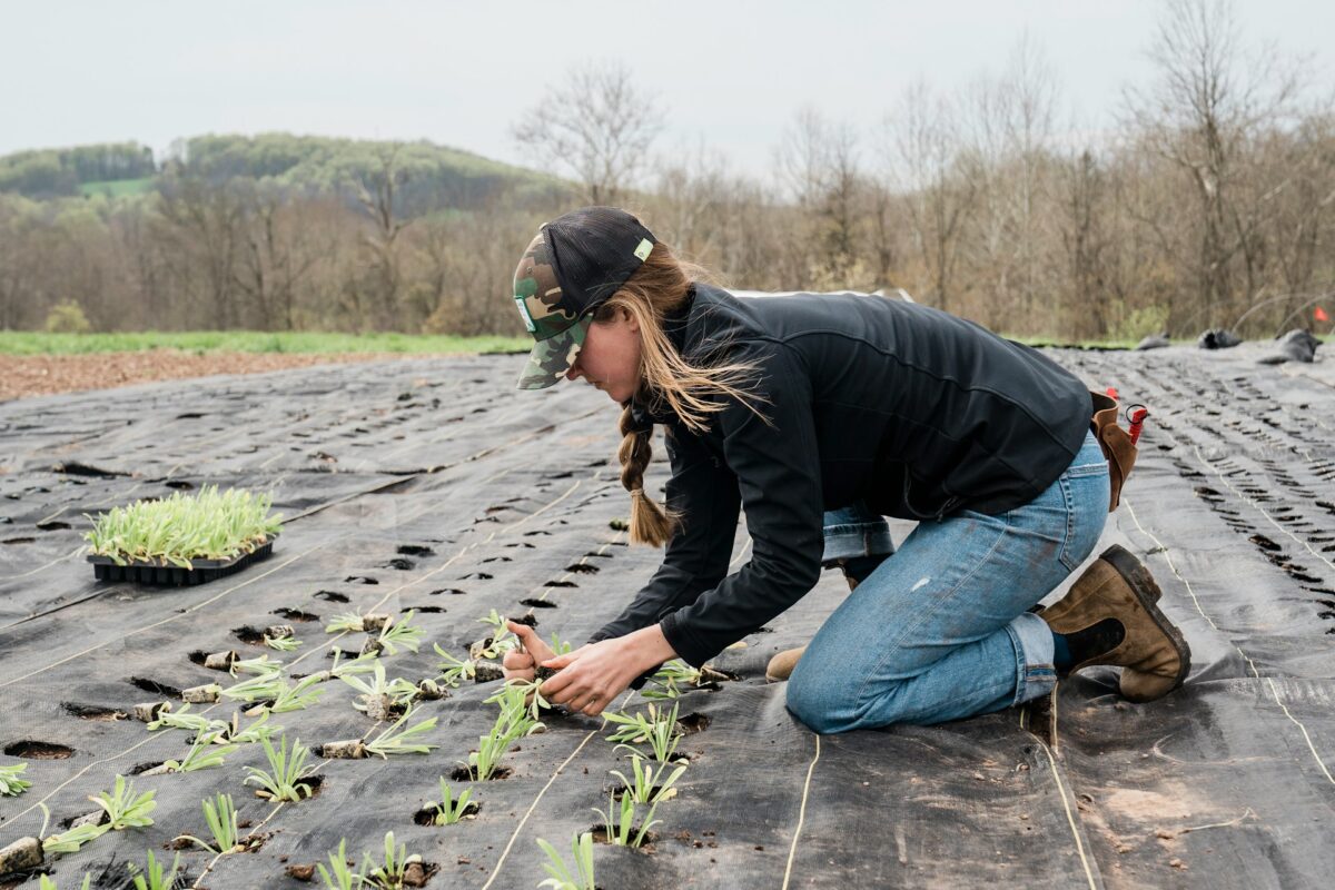 Are there many jobs for teenagers in the countryside?