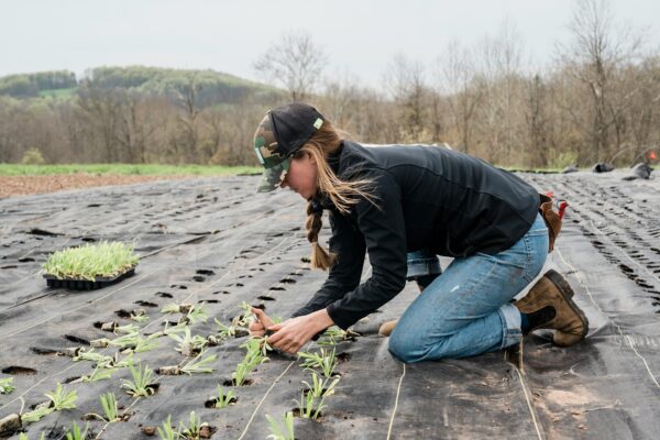 Are there many jobs for teenagers in the countryside?