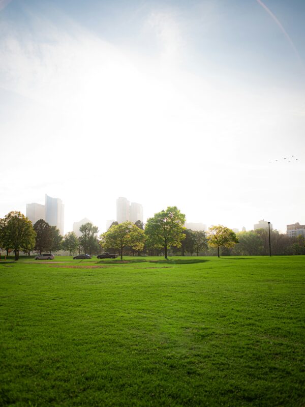 Are there parks in cities?