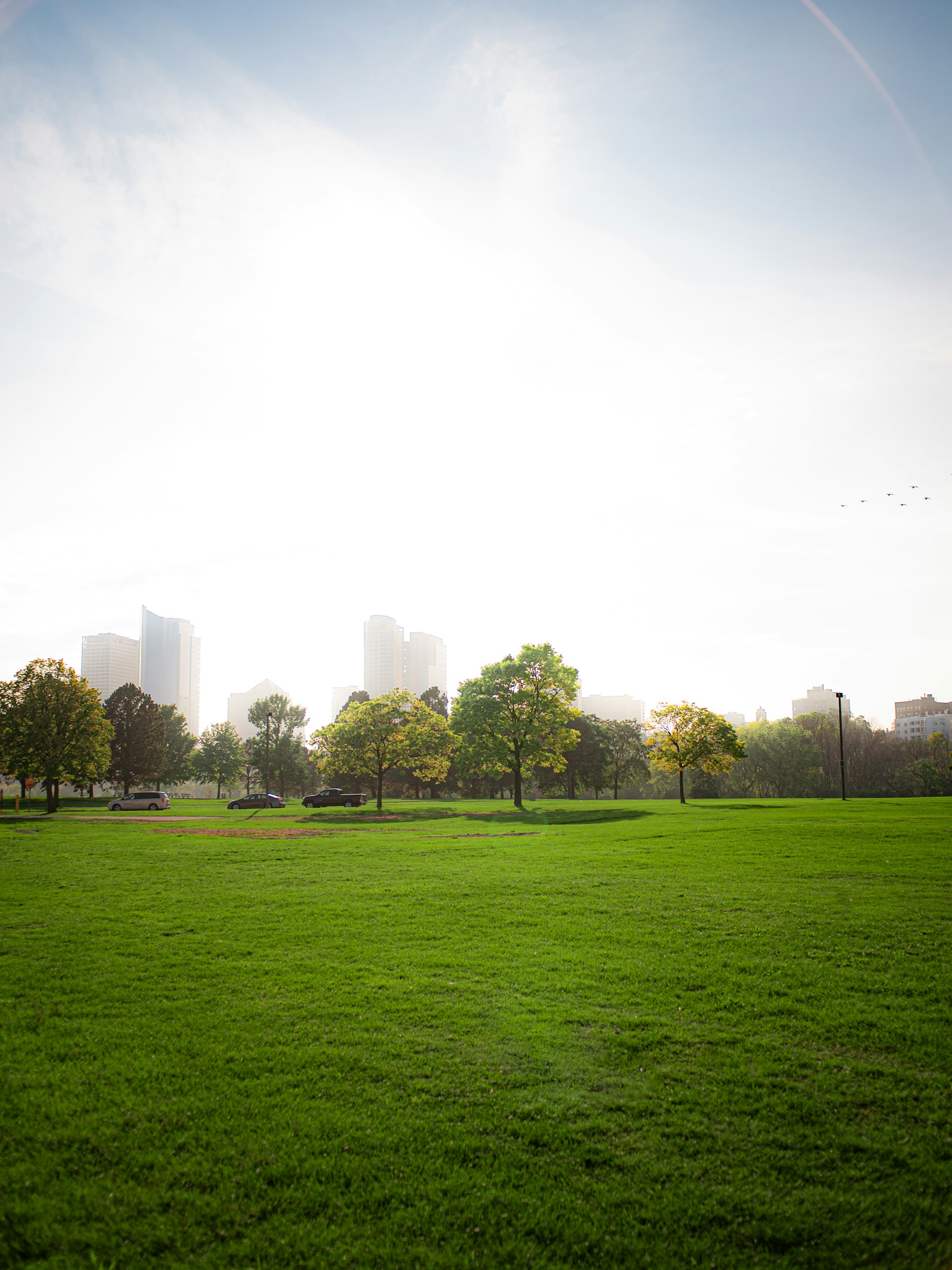 Are there parks in cities?