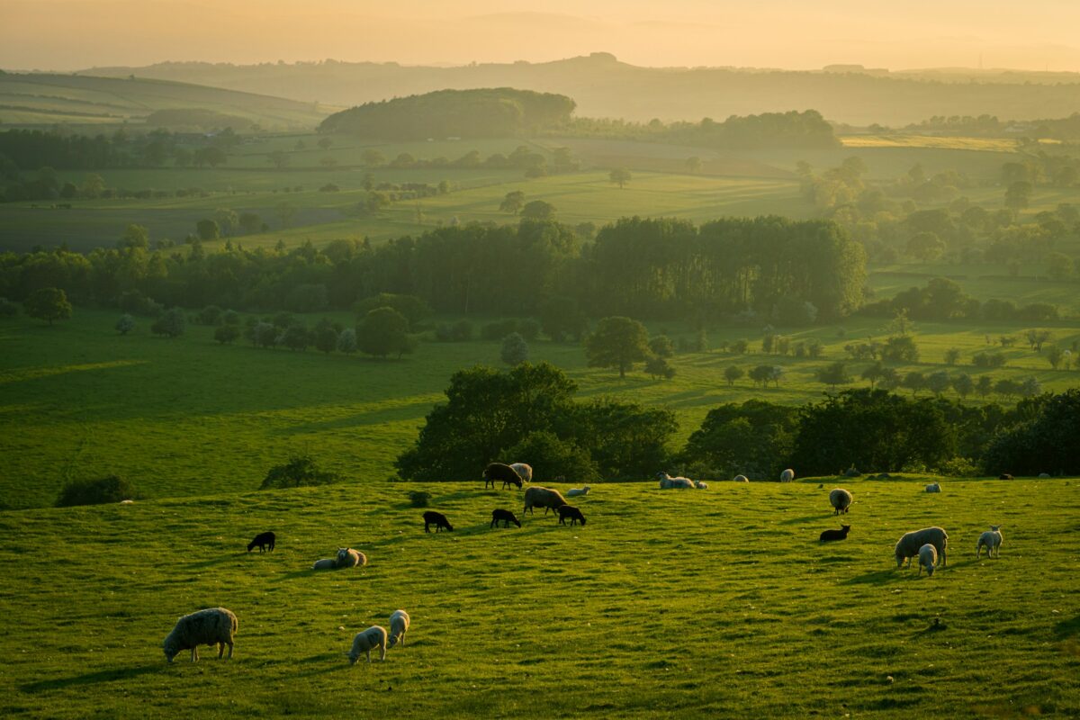 Can I still have good internet in the countryside?