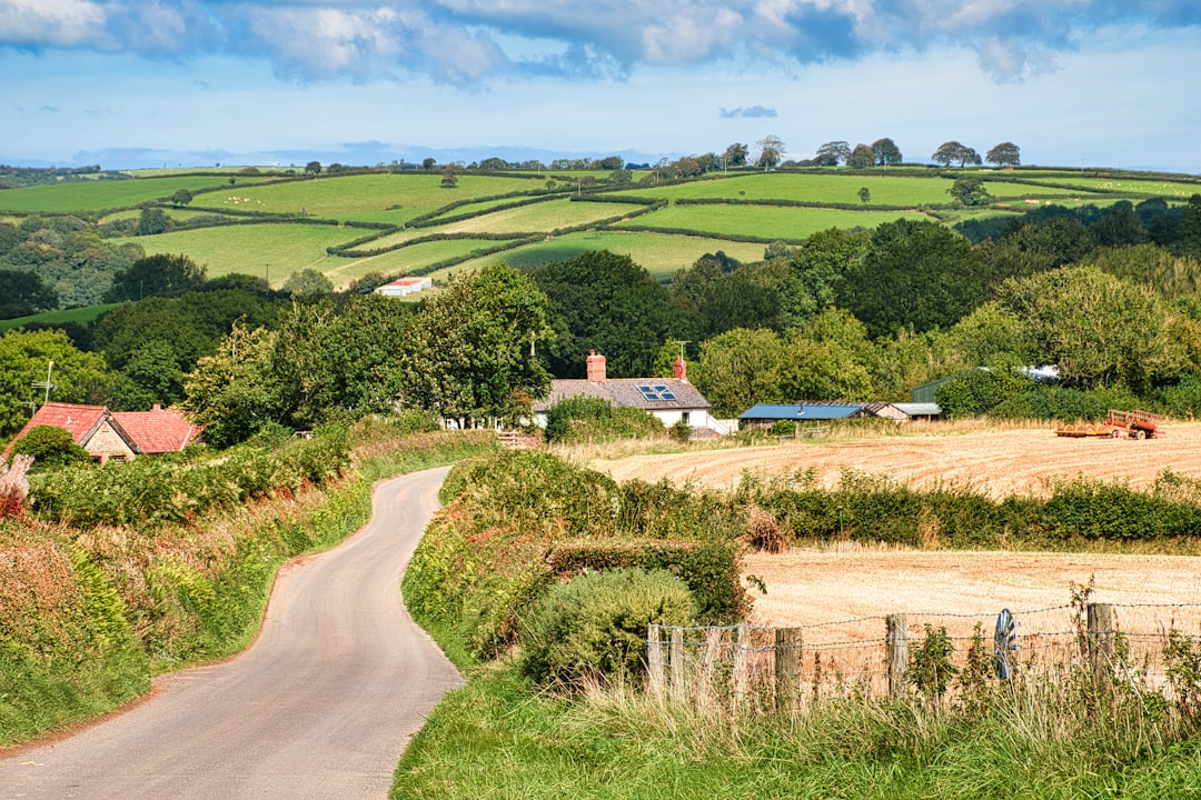 Do people in the countryside live differently?