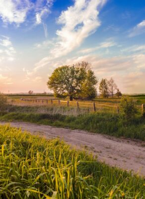 How do people socialise in the countryside?