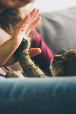 How long does the sadness last after losing a pet?