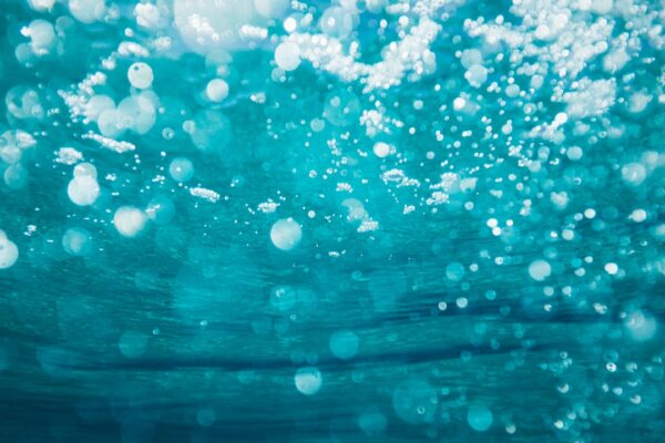 How much water should I drink to lose weight?
