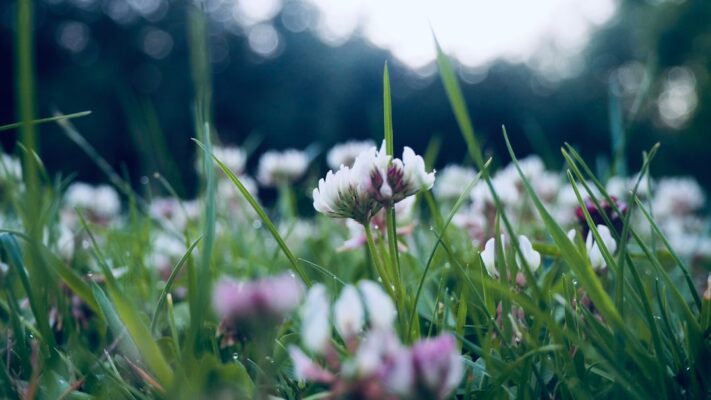 Is it safe to live in the countryside?