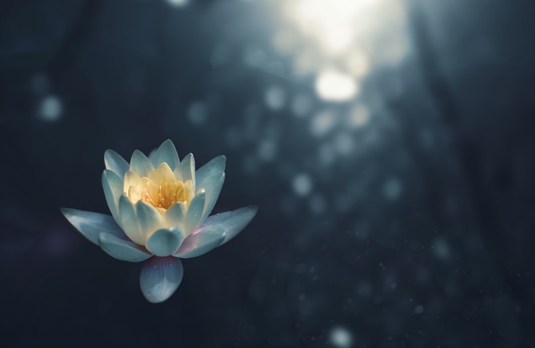 What are quick relaxation techniques for school?