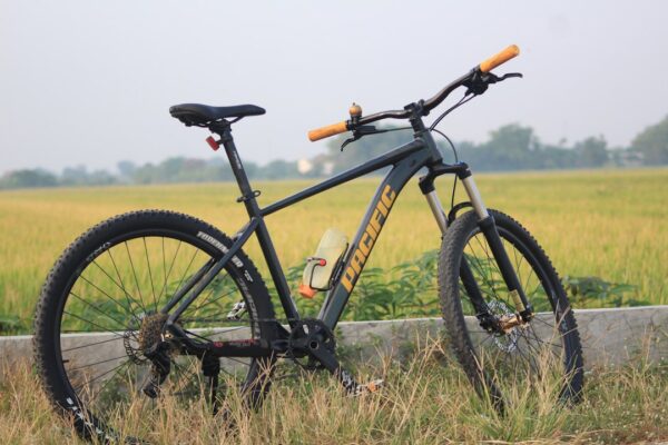 What are some cheap hobbies I can start easily?