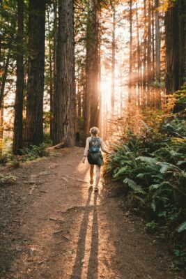 What are the best exercises for teenagers?