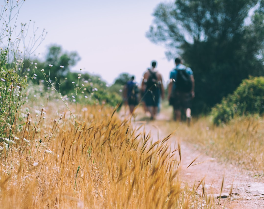 What are the best ways to travel to a music festival?