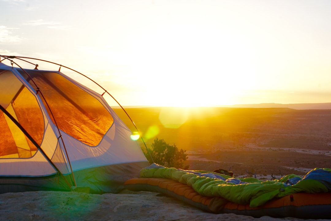 What are the rules about camping at festivals?