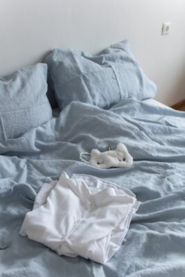 What is a wet dream?