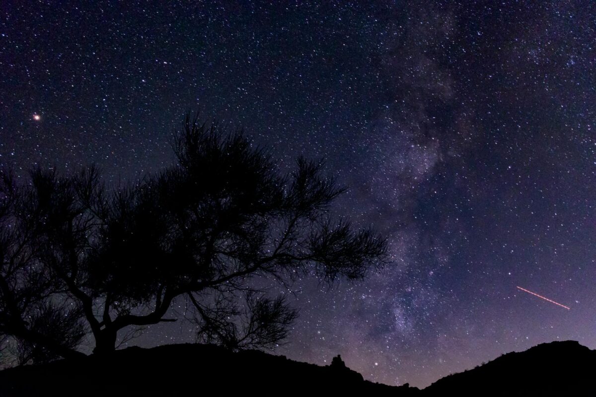 What should you do the night before an exam?