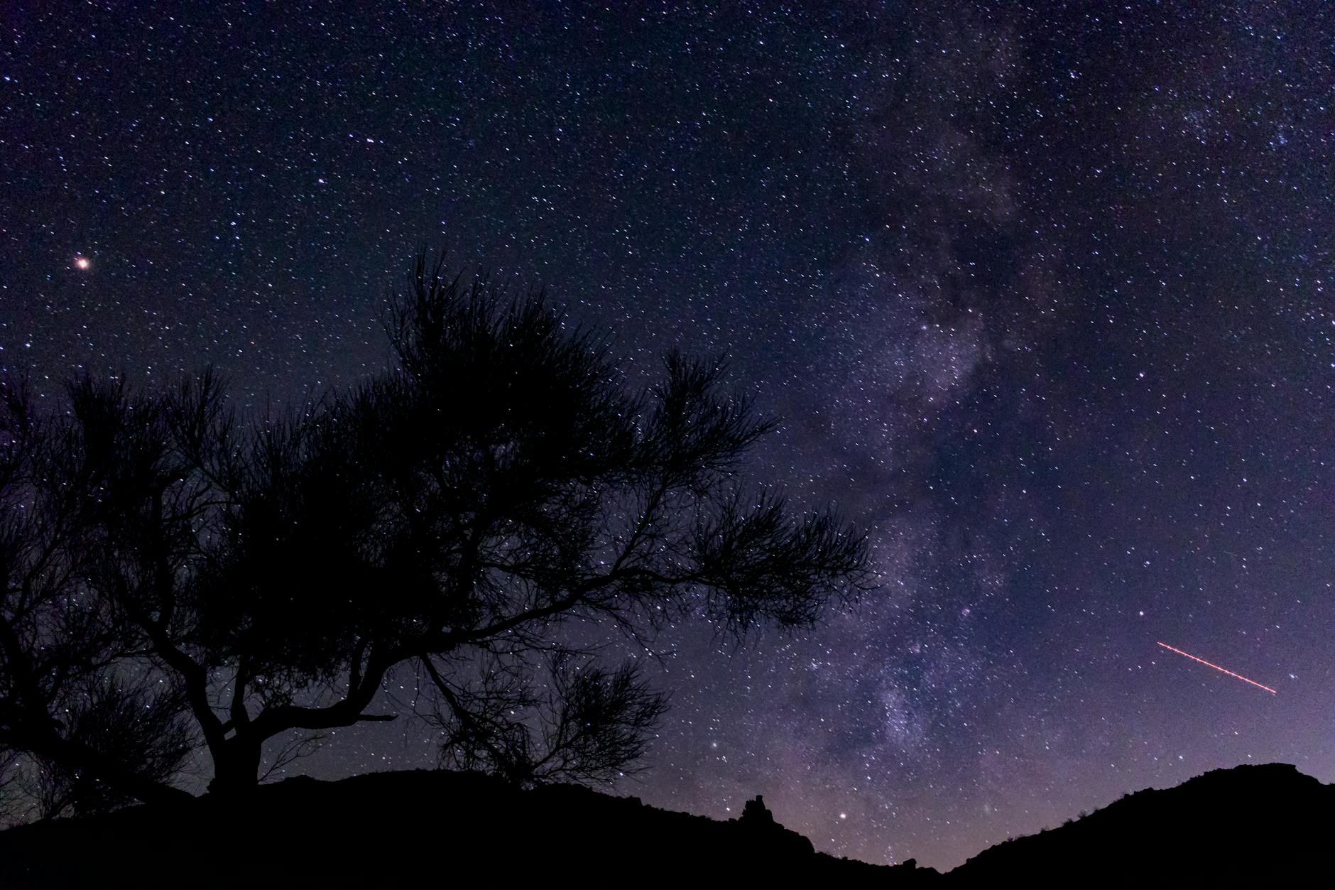 What should you do the night before an exam?