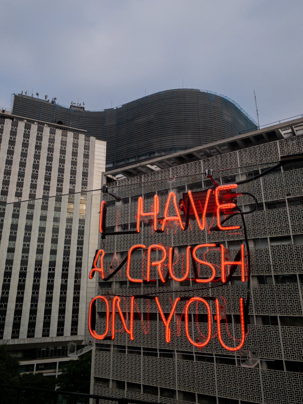 What's the difference between a crush and love?